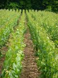 Chemin de r
