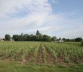 Chemin de reims