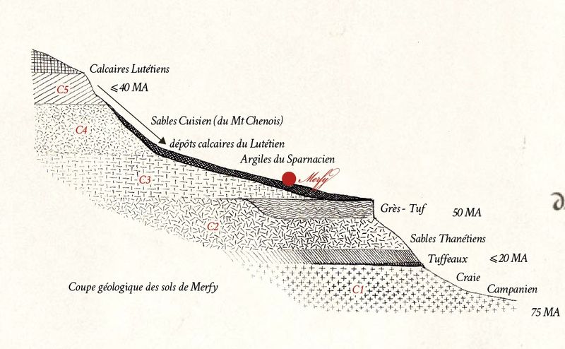 Coupe-geologique